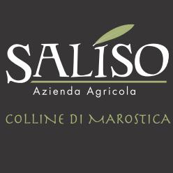 Saliso Olio Extra Vergine di Oliva Lusiana Conco, Santa Caterina - Orari di apertura