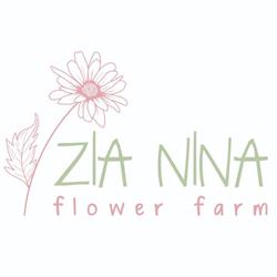 Zia Nina Flower Farm, Breda di Piave orari di apertura