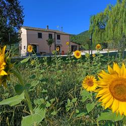 B&B in vino veritas, Arcevia orari di apertura