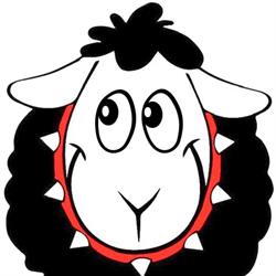 Circolo ARCI Black Sheep APS, Forlimpopoli orari di apertura