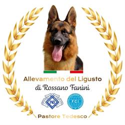 Allevamento del Ligusto, Torgiano orari di apertura