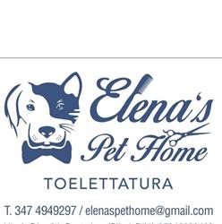 Elena's Pet Home, Pontedera orari di apertura