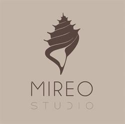 Mireo Studio di Irene Menchini Osteopata, Camaiore orari di apertura