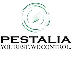 Pestalia, Bari orari di apertura