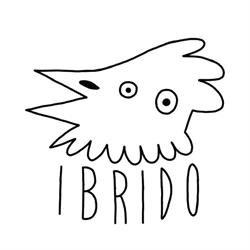 IBRIDO Studio S.r.l., Torino orari di apertura