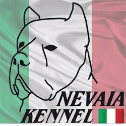 I Corsi della Nevaia, Polverigi orari di apertura