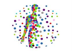 PRATIKA corpo e respiro, Concorezzo orari di apertura