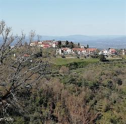 Il Ghiro Moncioni, orari di apertura