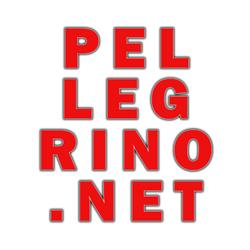 Pellegrino.Net - Digital Marketing, Venaria Reale orari di apertura