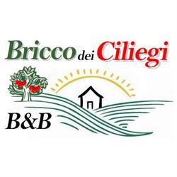 B&B Bricco dei Ciliegi, Cortazzone orari di apertura