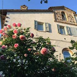 Alla Locanda del Cinquecento, Terra del sole orari di apertura
