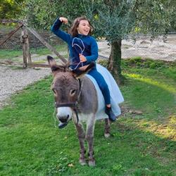 Il Muretto az. agricola, agriturimo, ristorante, Vicchio orari di apertura
