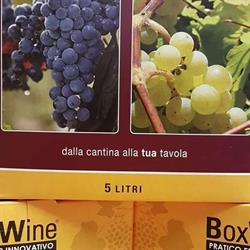 Vignaiuoli TOTI, Prepotto orari di apertura