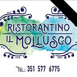 Il Mollusco, Marcelli orari di apertura