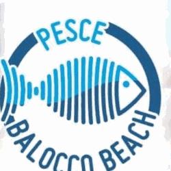 Ristorante Pesce Balocco, Viareggio orari di apertura