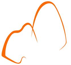 Capri Dental Clinic, orari di apertura