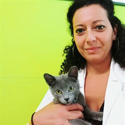 Ambulatorio Veterinario Dott.ssa Calascibetta Giovanna, Ragusa orari di apertura