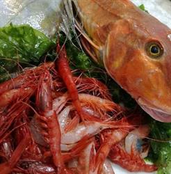 Pescheria da Fiorella, Salerno orari di apertura