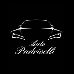 Soccorso stradale Padricelli - Autofficina Padricelli Car service, Carditello orari di apertura