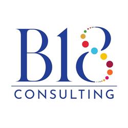 B18 CONSULTING SRL, Torino orari di apertura