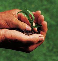 Azienda Agricola Tognin Diego, Stanghella orari di apertura