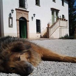 Agriturismo Countryhouse L'Ariete, Montone orari di apertura