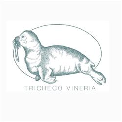 Tricheco Vineria, Bologna orari di apertura