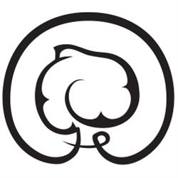 Atomic Falafel, Firenze orari di apertura