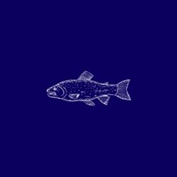 Pesca Sportiva Dante Alighieri, Arpiola orari di apertura