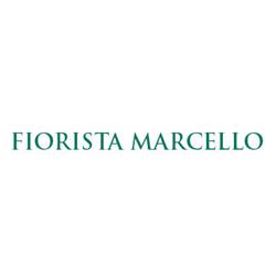 Fiorista e Onoranze funebri Marcello, Brugnato orari di apertura