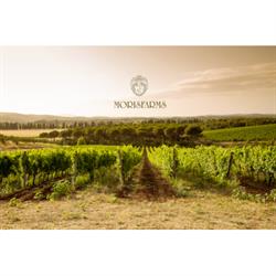 Morisfarms, Prata orari di apertura