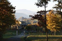 Ospitalita' Rurale Casa Cani, Berceto orari di apertura