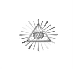 Fooderia I Preziosi Cucina Toscana, Cucina Marinara Pisana, Pizzeria d'Autore, orari di apertura