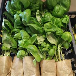 Alimentari Le Cinque Vie, Fezzano orari di apertura