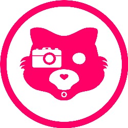 plastikwombat - Foto&Video, Torino orari di apertura