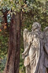 Cimitero Britannico di Napoli, orari di apertura