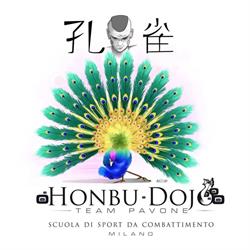 HONBU DOJO PAVONE A.S.D. - Scuola di Sport da Combattimento Milano, orari di apertura