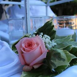 Serena Fiori, Casalbuttano ed Uniti orari di apertura