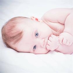 Studio fotografico Dascia Stone, Mottola orari di apertura