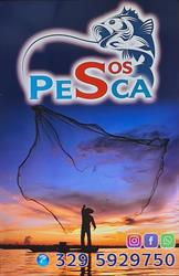 SOS PESCA - FRATTAMINORE, Frattaminore orari di apertura