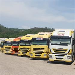 Galdo Trasporti Srl, Prata di Principato Ultra orari di apertura