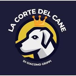La Corte del Cane di Giacomo Grippi, Palermo orari di apertura