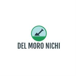 Del Moro Nichi - Lavori Agricoli e Forestali e Legna da Ardere, Vicopisano orari di apertura