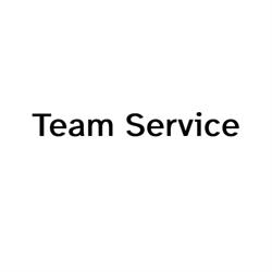 Team Service e Camera di Mediazione Nazionale, Roma orari di apertura