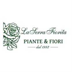 La Serra Fiorita Addobbi Floreali e Servizi Funebri, Collesano orari di apertura