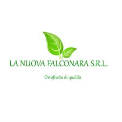 La Nuova Falconara Srl, Butera orari di apertura