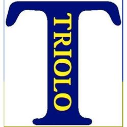 Agenzia Servizi Triolo, Reggio Calabria orari di apertura
