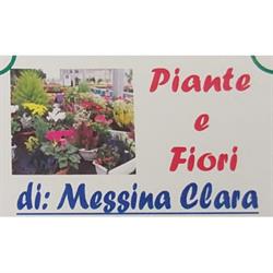 Piante e fiori di Messina Clara, Santa Caterina Villarmosa orari di apertura