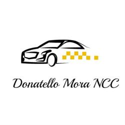Mora Donatello N.C.C., Ledro orari di apertura