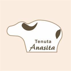 Tenuta Anasita Azienda Zootecnica Bufalina, San Filippo del Mela orari di apertura